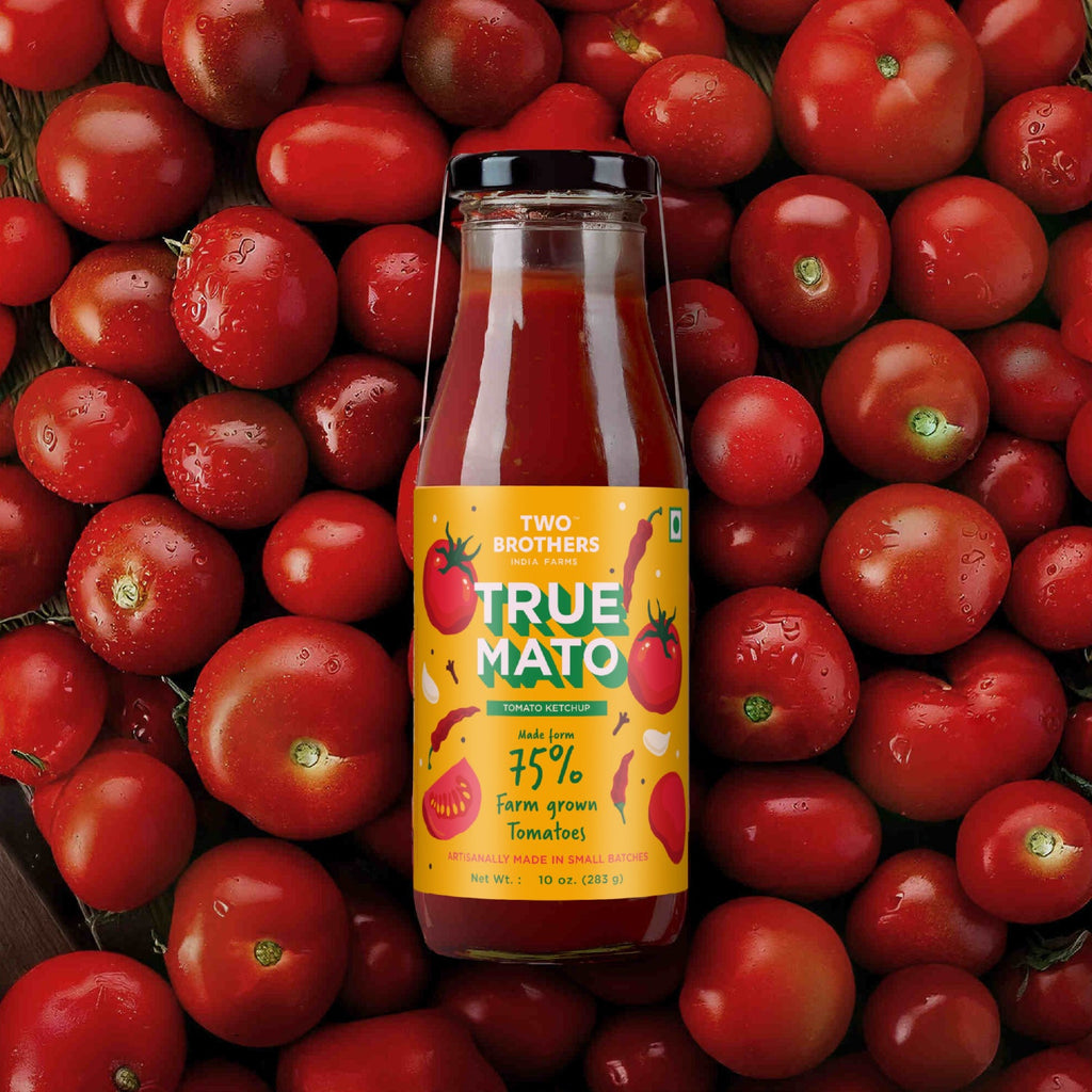 Two Brothers Spicy Tomato Ketchup
